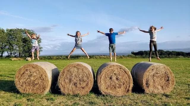 Як організувати дитині літо в місті без табору: бюджетні ідеї для зайнятих батьків
